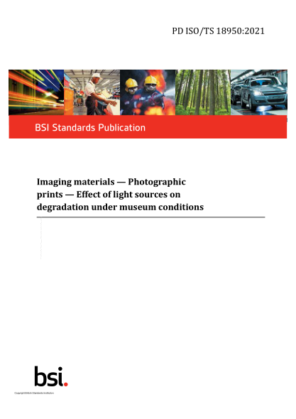 PD ISO/TS 18950-2021Imaging materials. Photographic prints. Effect of light sources on degradation under museum conditions