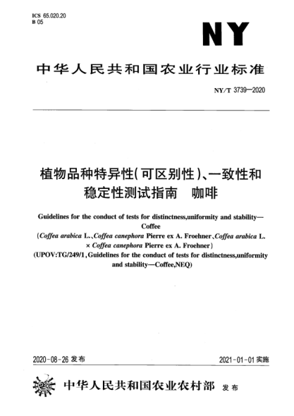 NY/T 3739-2020植物品種特異性（可區(qū)別性）、一致性和穩(wěn)定性測試指南 咖啡