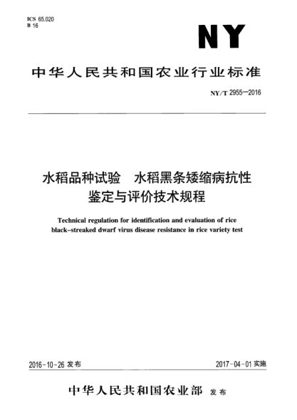 NY/T 2955-2016水稻品種試驗(yàn)  水稻黑條矮縮病抗性鑒定與評(píng)價(jià)技術(shù)規(guī)程