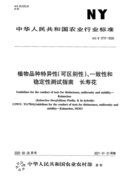 NY/T 3731-2020植物品種特異性（可區(qū)別性）、一致性和穩(wěn)定性測試指南 長壽花