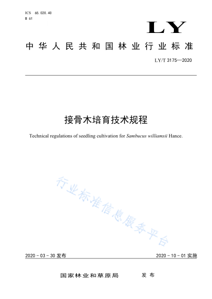  LY/T 3175-2020 接骨木培育技術(shù)規(guī)程