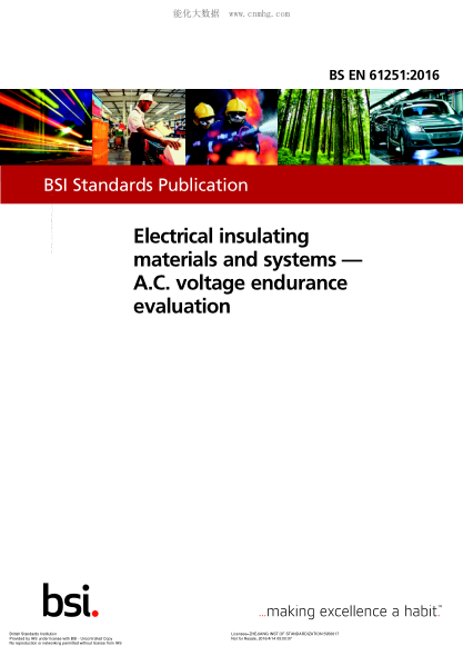 BS EN 61251-2016 電氣絕緣材料與系統(tǒng) 交流電壓耐久性評定 Electrical insulating materials and systems. A.C. voltage endurance evaluation