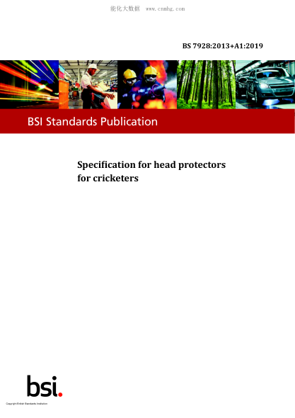 BS 7928-2013+A1-2019   Specification for head protectors for cricketers