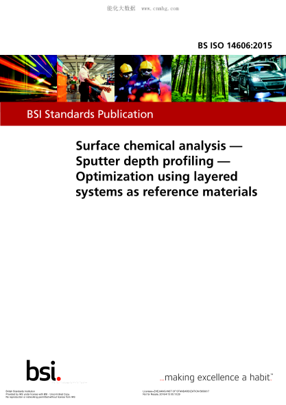 BS ISO 14606-2015 表面化學(xué)分析 濺射深度剖面測定 采用作為參考材料的成層系統(tǒng)最優(yōu)化 Surface chemical analysis. Sputter depth profiling. Optimization using layered systems as reference materials