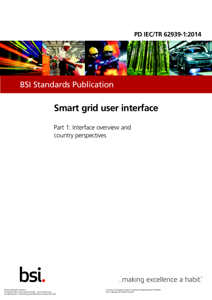 PD IEC/TR 62939-1-2014   Smart grid user interface. Interface overview and country perspectives