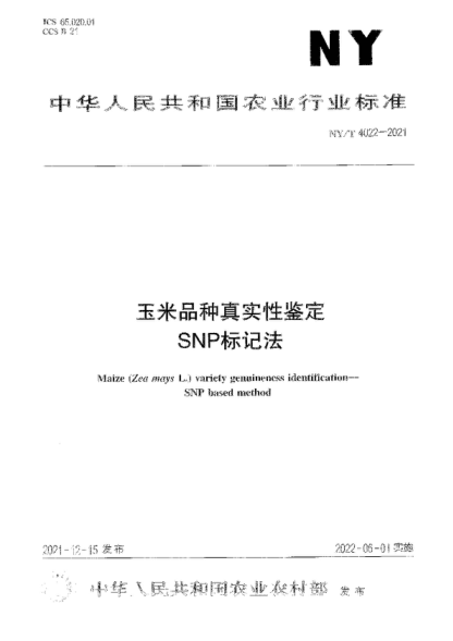 NY/T 4022-2021 玉米品種真實(shí)性鑒定 SNP標(biāo)記法 Maize (Zea mays L.) variety genuineness identification- SNP based method