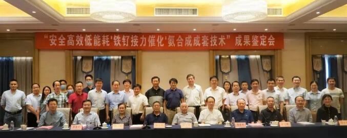 “鐵釕接力催化”氨合成技術(shù)通過科技成果鑒定