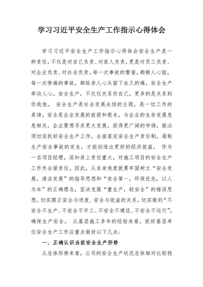 學(xué)習(xí)習(xí)近平總書記安全生產(chǎn)工作指示心得體會docx