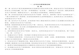 安全監(jiān)理手冊(cè)docx