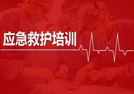 應(yīng)急救護(hù)培訓(xùn)（64頁(yè)）pptx