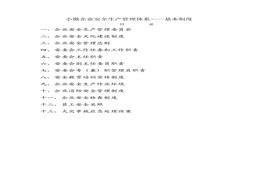 小微企業(yè)安全生產(chǎn)管理體系（28頁）(1)doc