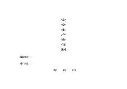 全生產(chǎn)責(zé)任制（21頁(yè)）(1)doc