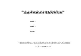 場(chǎng)處置方案匯編(85頁）(1)doc