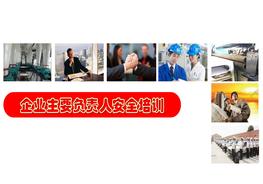 20190423企業(yè)主要負(fù)責(zé)人安全培訓(xùn)pptx