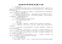 起重傷害現(xiàn)場(chǎng)處置方案docx