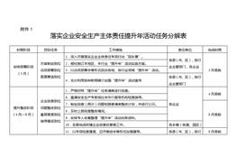 落實(shí)企業(yè)安全生產(chǎn)主體責(zé)任提升年活動(dòng)任務(wù)分解表pdf