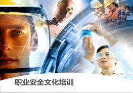 500強(qiáng)外企職業(yè)安全文化培訓(xùn)（精品）pptx