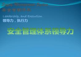 ~安全管理體系領(lǐng)導(dǎo)力ppt