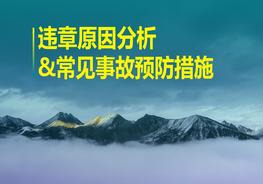 D20210819違章原因分析與常見事故預(yù)防措施pptx