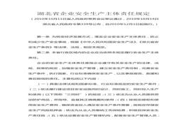 湖北省企業(yè)安全生產(chǎn)主體責(zé)任規(guī)定doc