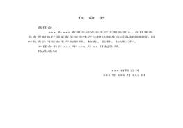 安全生產(chǎn)主要負責(zé)人任命書doc