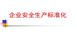 安全標(biāo)準(zhǔn)化講義 (2)pptx