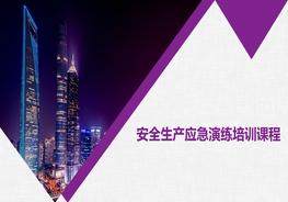 安全生產(chǎn)應(yīng)急演練培訓(xùn)課程pptx
