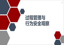過程管理與行為安全觀察pptx