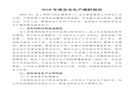 企業(yè)負(fù)責(zé)人安全生產(chǎn)履職報(bào)告(1)doc