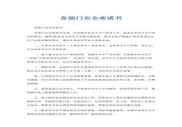 各部門安全承諾書(1)docx