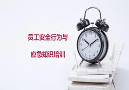 員工安全行為與應(yīng)急知識培訓pptx