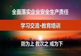 全面落實企業(yè)安全生產(chǎn)主體責(zé)任最新責(zé)任清單ppt