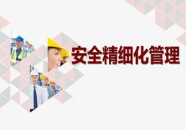 安全生產(chǎn)精細(xì)化管理組織實(shí)施pptx