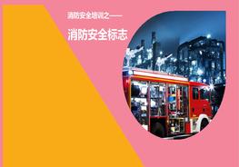 消防安全標志系統(tǒng)培訓pptx