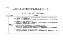 理責(zé)任清單參考模板（10版）docx