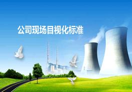 公司現(xiàn)場目視化標準pptx