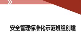 安全管理標(biāo)準(zhǔn)化示范班組創(chuàng)建ppt