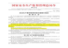 國家安監(jiān)總局令〔2007〕第16號_安全生產(chǎn)事故隱患排查治理暫行規(guī)定doc