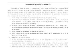 各級各部門及管理人員安全生產(chǎn)責(zé)任制doc