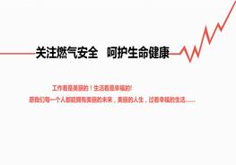 關(guān)注燃?xì)獍踩亲o生命健康pptx