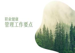 職業(yè)健康管理工作要點(diǎn)pptx