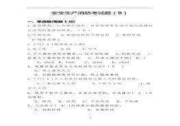 省安監(jiān)局消防考試試卷及答案(B)doc