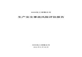 XX公司生產(chǎn)安全事故風(fēng)險評估報告（29頁）(1)doc
