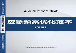 版預案參考-國家安全生產(chǎn)應急救援中心《生產(chǎn)安全事故應急預案優(yōu)化范本》（下冊）(1)pdf