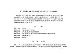 廣西壯族自治區(qū)安全生產(chǎn)條例docx