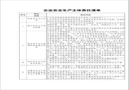 企業(yè)安全生產(chǎn)主體責(zé)任清單docx