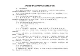 淹溺事故現(xiàn)場處置方案docx