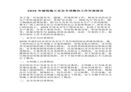 安全專項整治工作年度報告(1)docx