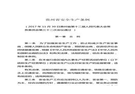 貴州省安全生產(chǎn)條例docx
