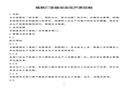 煉鐵廠各級(jí)安全生產(chǎn)責(zé)任制docx